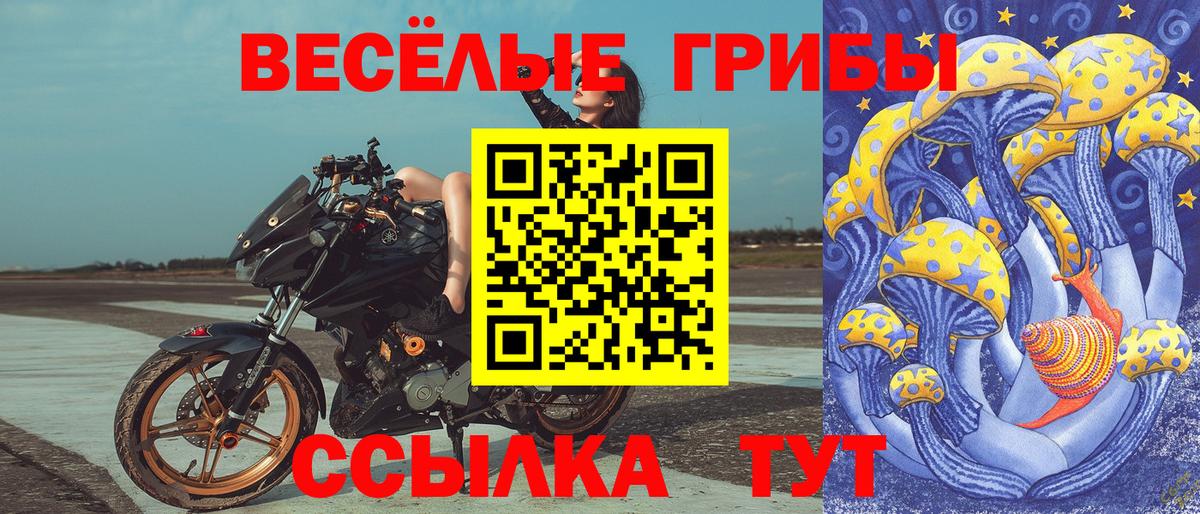 Псилоцибиновые грибы мицелий  Вход с VPN  Богданович  Псилоцибиновые грибы Magic Shrooms 