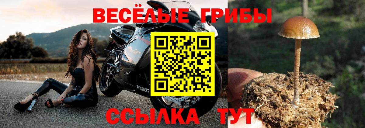 Псилоцибиновые грибы мухоморы Богданович